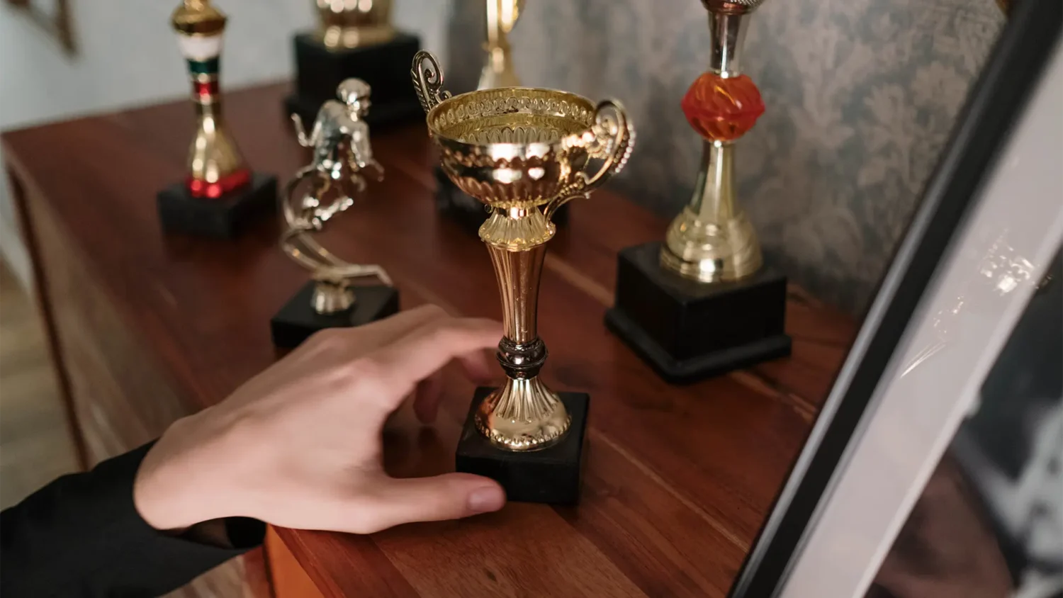 Multiple trophies on display shelf