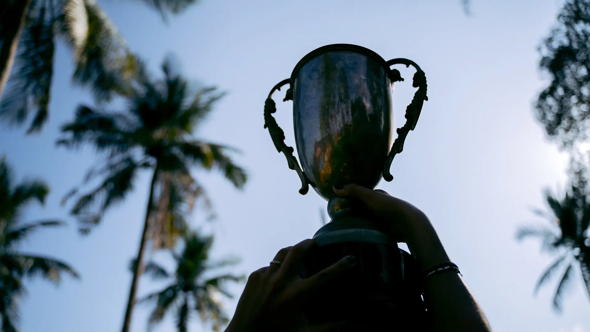 Person holding trophy up