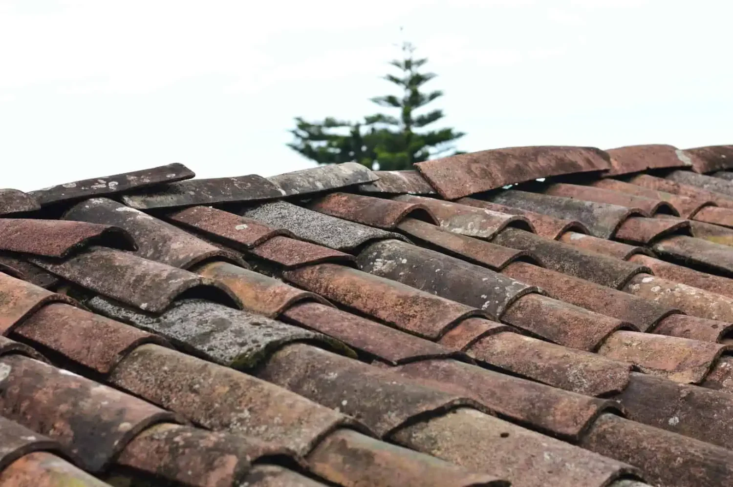 Tile roof in need of repair