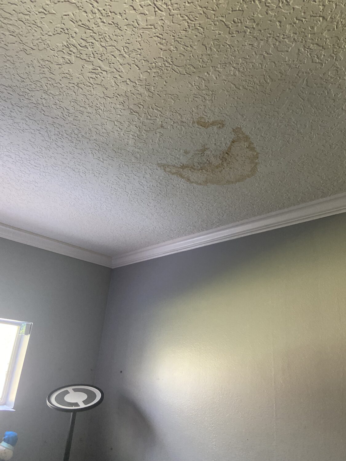 water damage on ceiling due to roof leak